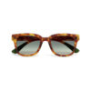 Sahara Havana (lentes verdes)(SH-GR)